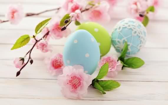 amazing colorful easter eggs for easter day, amazing colorful easter eggs , colorful easter eggs for easter day, eggs for easter day, easter day, easter,,eggs 