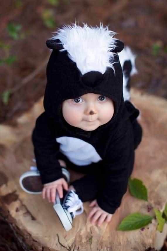 Baby And Toddler Halloween Costumes , Toddler Halloween Costumes , Baby And Toddler , Halloween Costumes , Halloween , Costumes