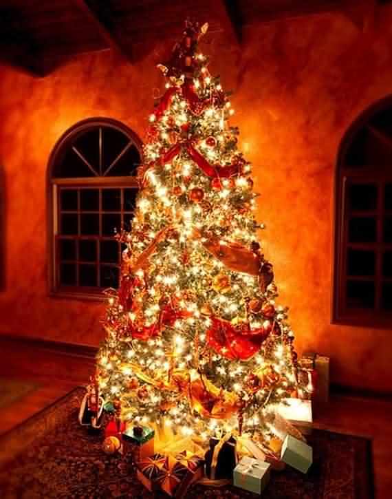Christmas Tree Gorgeous Decorations Ideas, Christmas Tree, Gorgeous Decorations Ideas, Christmas, Tree, Decorations Ideas