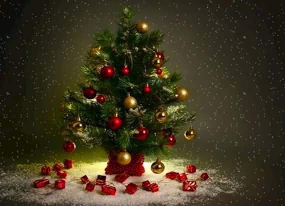 wall christmas tree decorating ideas, wall christmas tree, decorating ideas, christmas tree, Christmas, tree, wall 