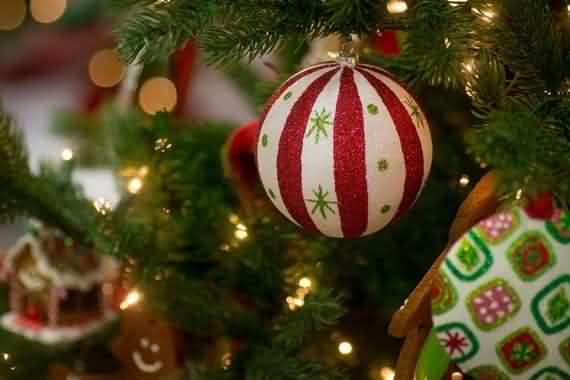 best christmas ornaments ideas , christmas ornaments ideas , best christmas ornaments , christmas ornaments , best xmas ornaments ideas , xmas ornaments ideas , best xmas ornaments , xmas ornaments
